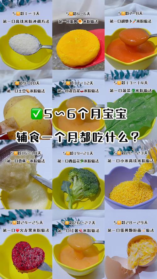 6个月第三代助孕宝宝可以吃什么