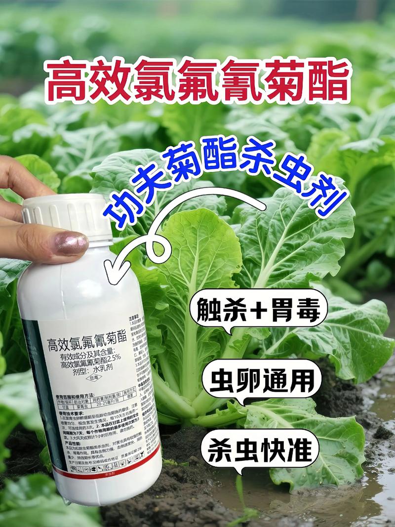 国内代生中心:农药对供卵代生妈妈的危害